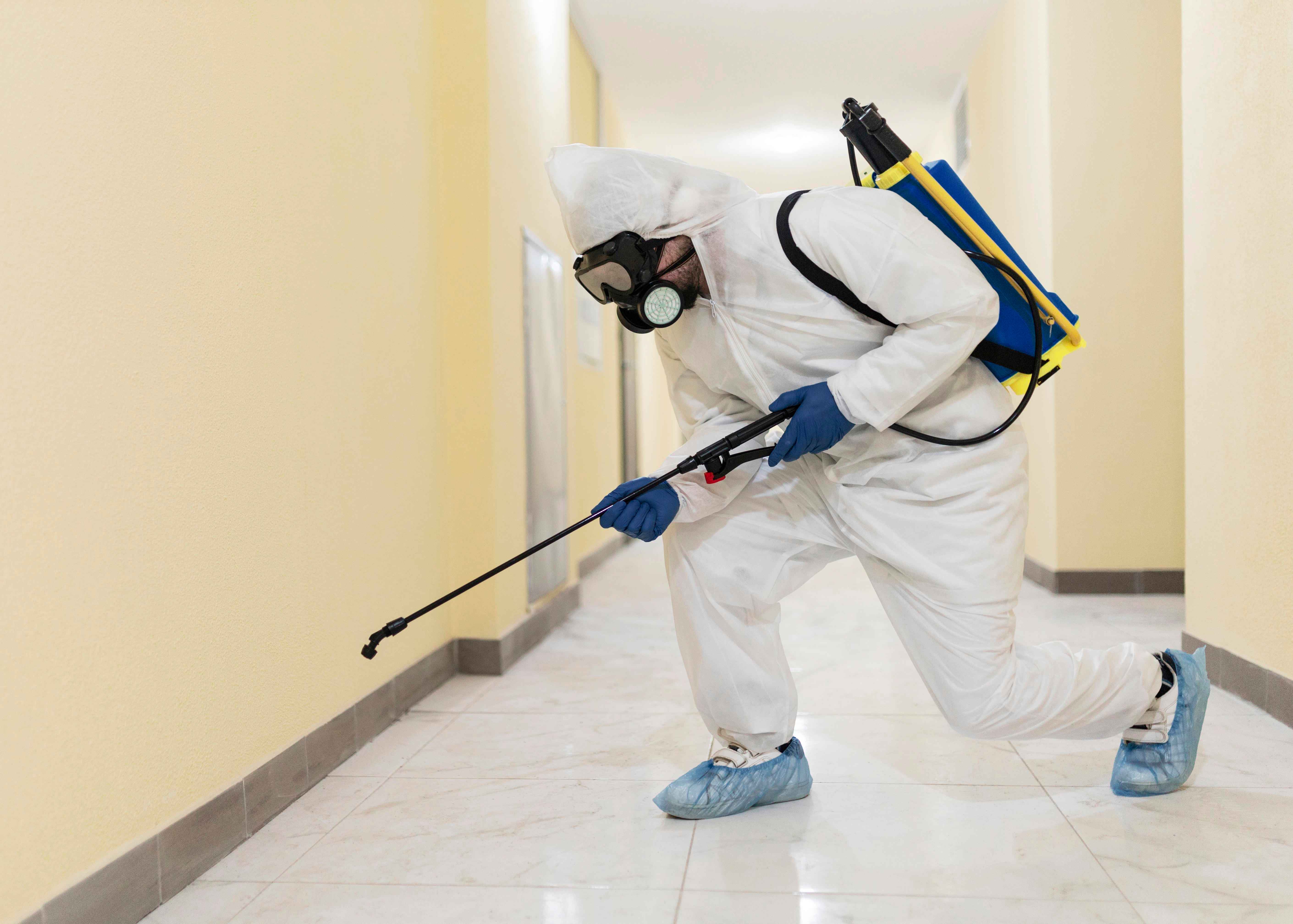 Professional cleaning service