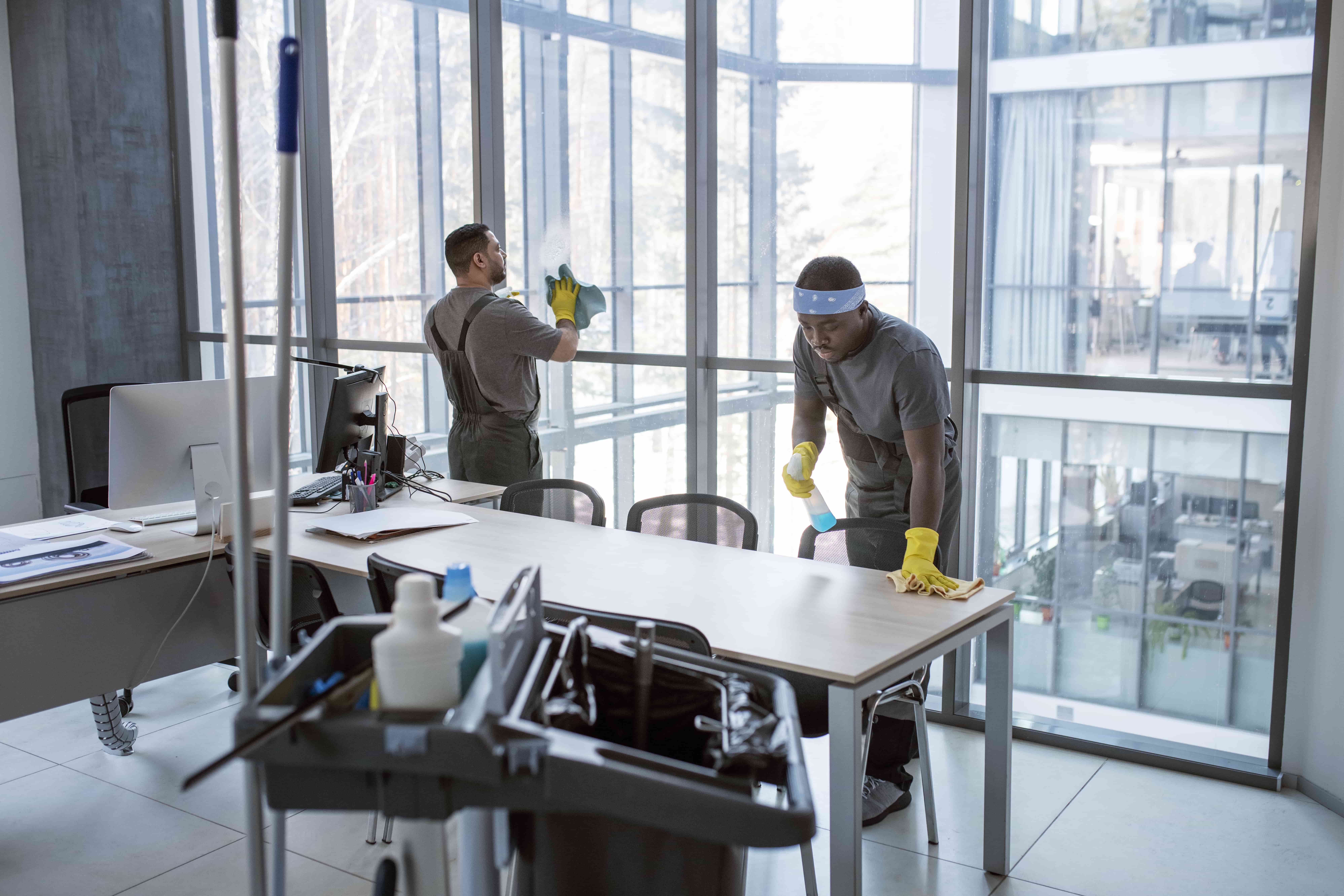 Professional cleaning service