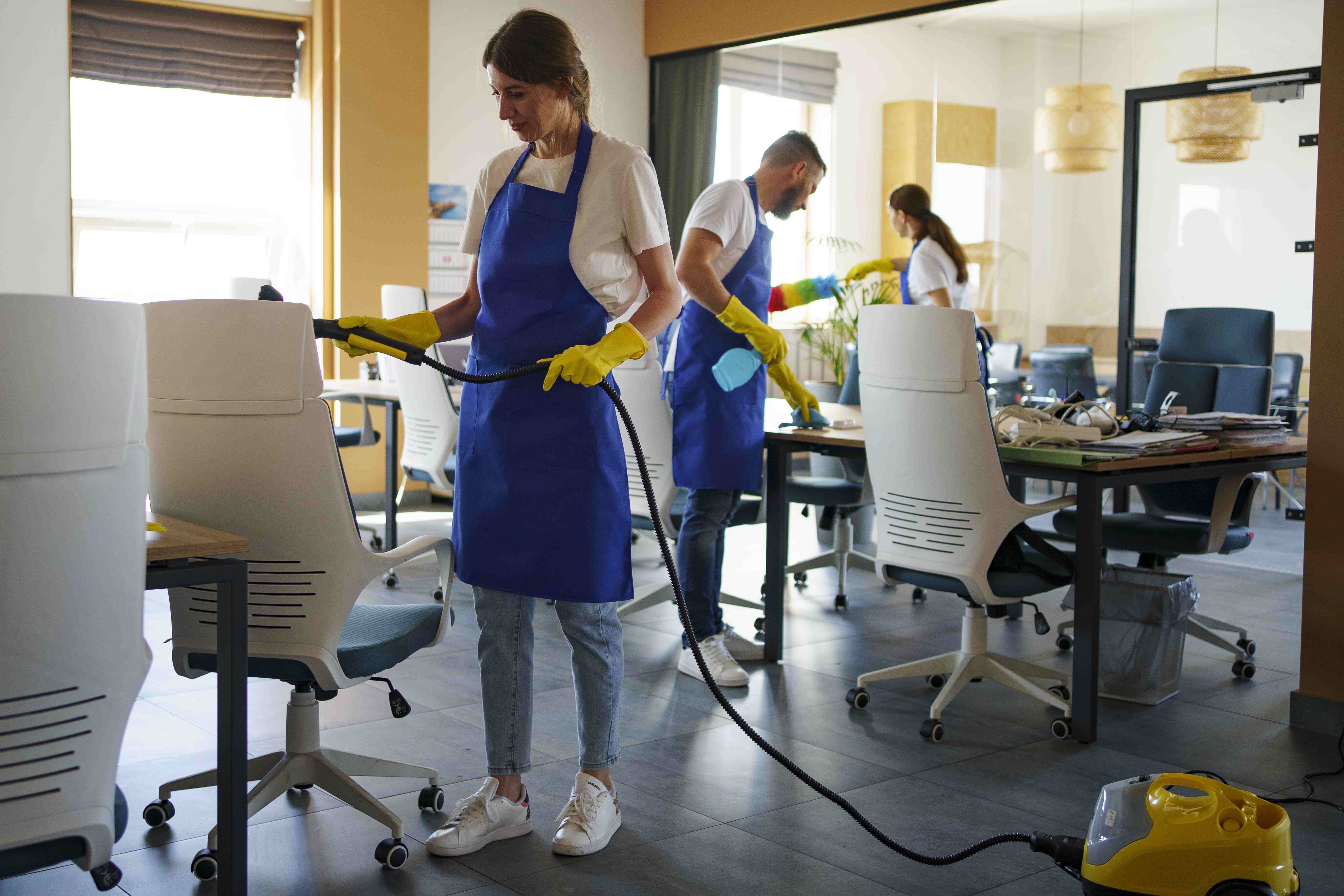 Professional cleaning service