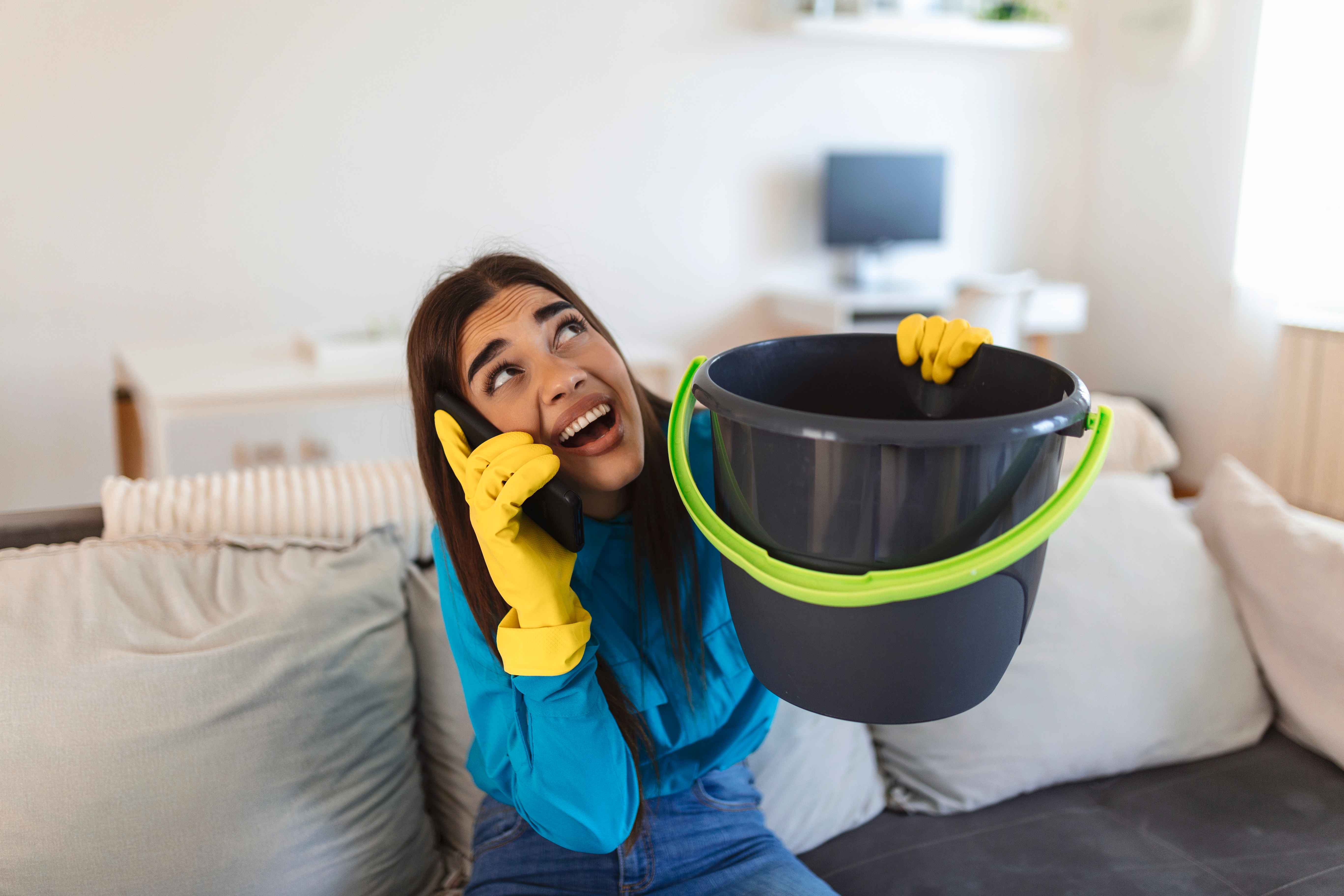 Professional cleaning service