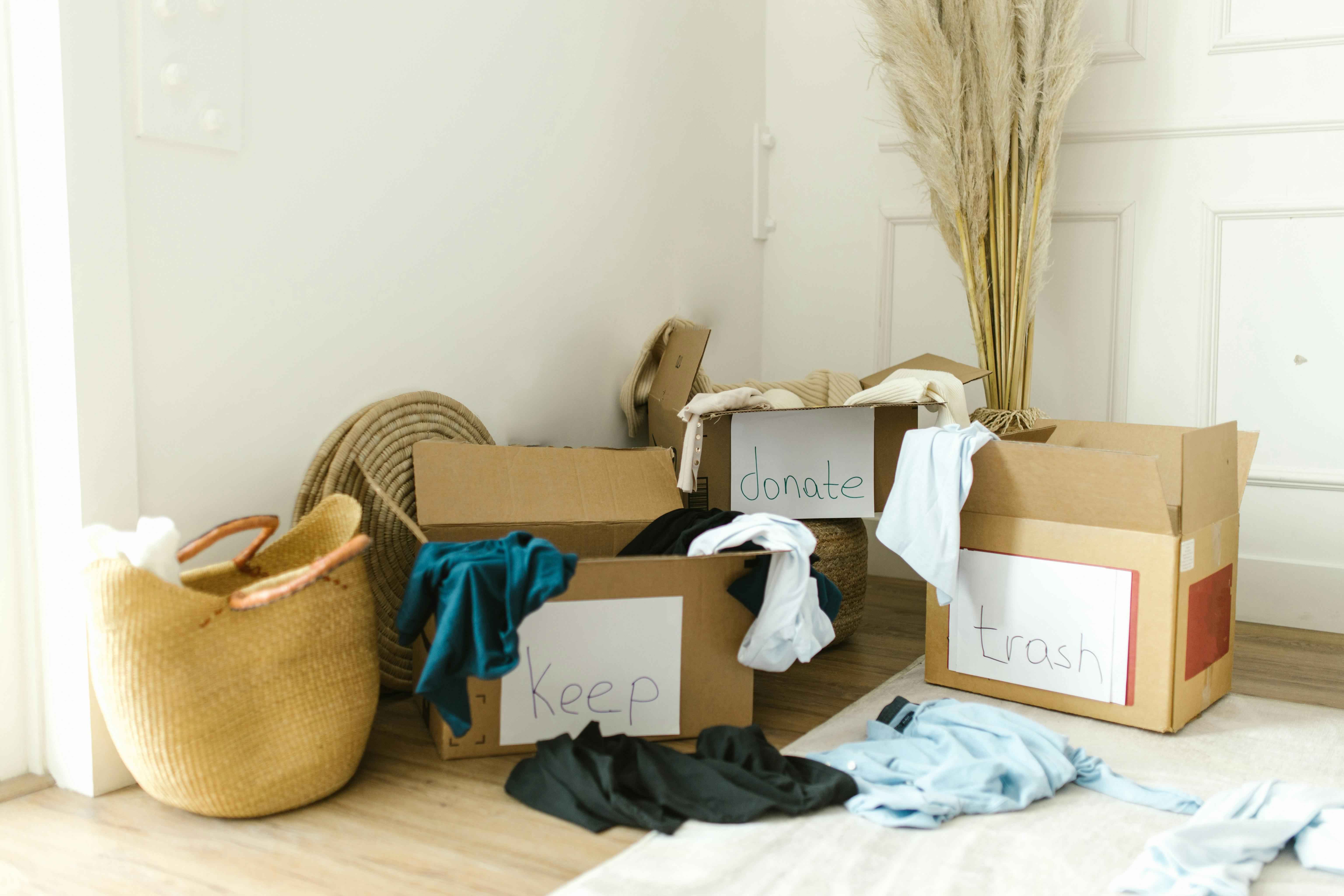 Professional cleaning service