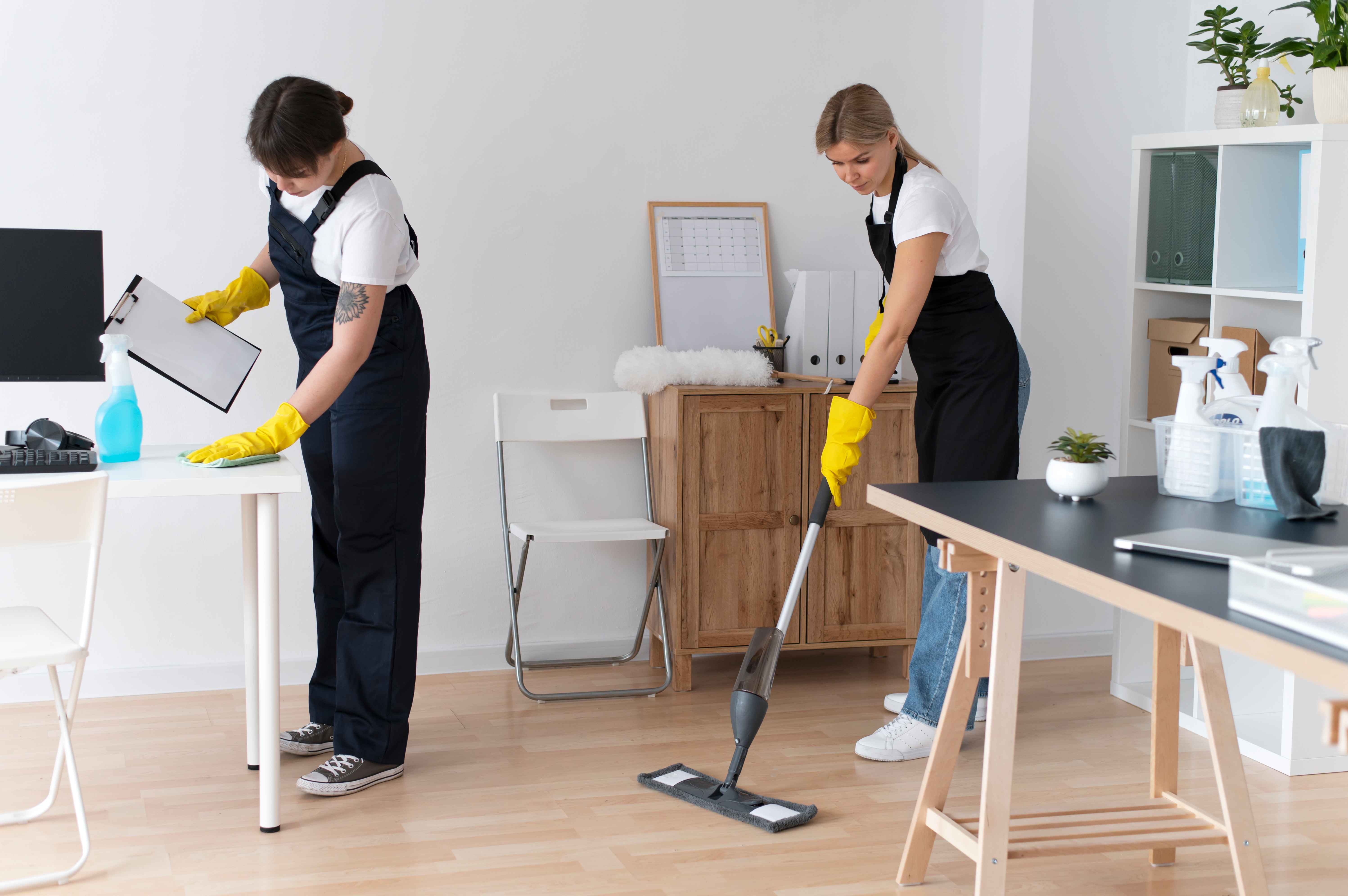 Professional cleaning service